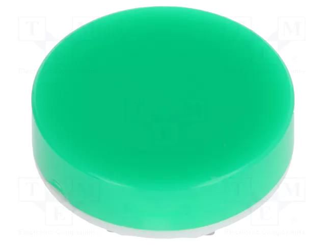 Cap; Ø19x9mm; green-white; Application: LB Panel Seal NKK SWITCHES AT4054FJ