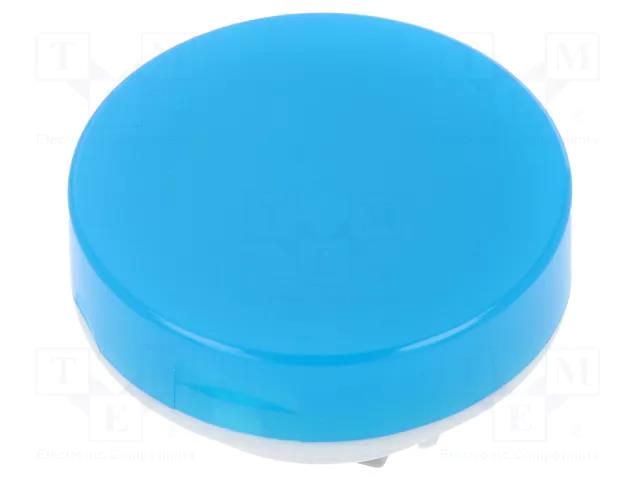 Cap; Ø19x9mm; blue-white; Application: LB Panel Seal NKK SWITCHES AT4054GJ