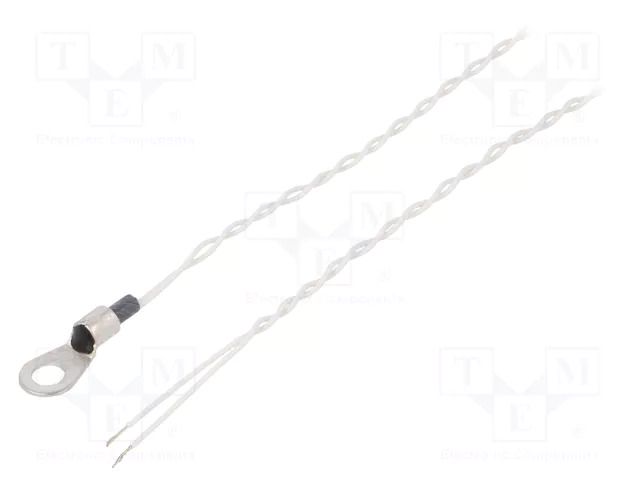Sensor: temperature; Pt100; 100Ω; cl.B; Leads: leads x2; 0.5m TEWA TEMPERATURE SENSORS TT4MPT100BT125M5
