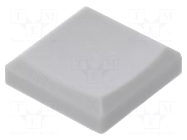 Cap; light grey; MDP C&K BTNMDP20