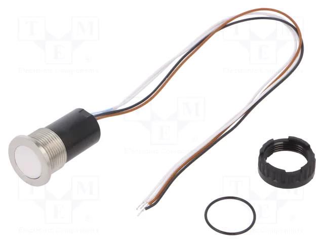 Switch: capacitive; Pos: 2; SPST; 0.1A/42VAC; 0.1A/60VDC; IP67; CPS SCHURTER 3-101-395