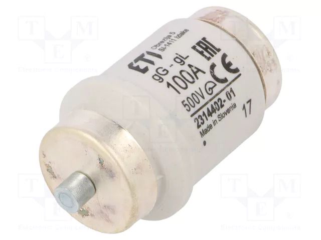 Fuse: fuse; 100A; 500VAC; 500VDC; gG; ceramic; DIV; D ETI POLAM 002314402
