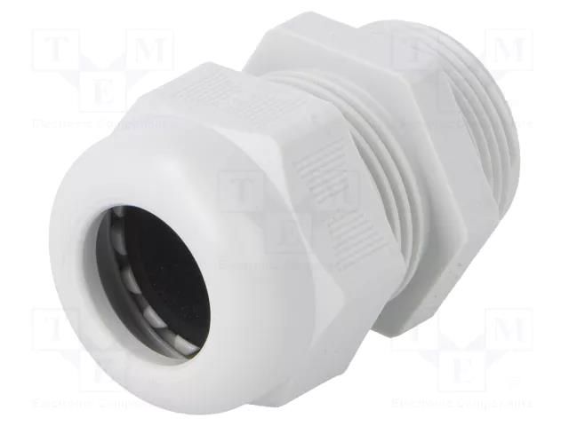 Cable gland; PG21; IP68; polyamide; light grey; V-TEC PG OBO BETTERMANN OBO-2024764