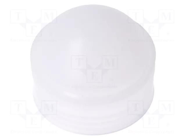 Plunger; 591ml; for syringes; silicone free; polyetylene Techcon TCH-EA200WP-LD-NT
