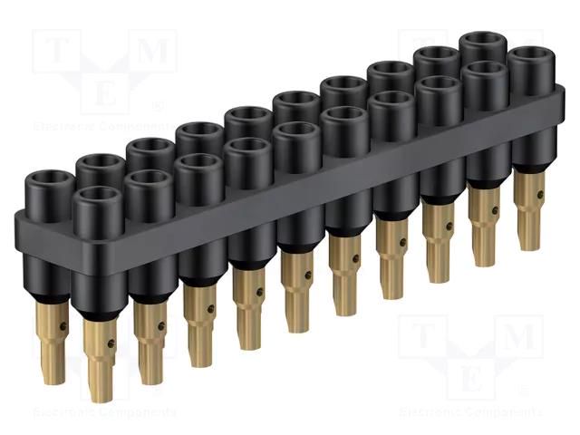 Socket strip; 2mm banana; black; 70VDC; 10A; 33VAC; Sockets: 20; 6mm STÄUBLI BL2-6/20/A-21