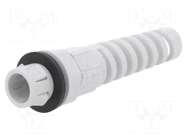 Cable gland; M32; IP68; polyamide; light grey; SKINTOP® LAPP LP-53112933