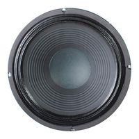 12" Guitar Speaker 8 Ohm 60 Watts PM12S.