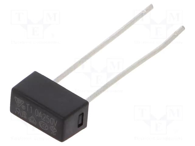 Fuse: fuse; 1A; 250VAC; time-lag; TE5; 883.200G ESKA 883217G