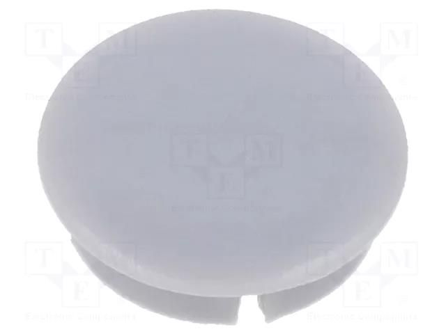 Cap; grey; Mounting: push-in; plastic MENTOR 331.664
