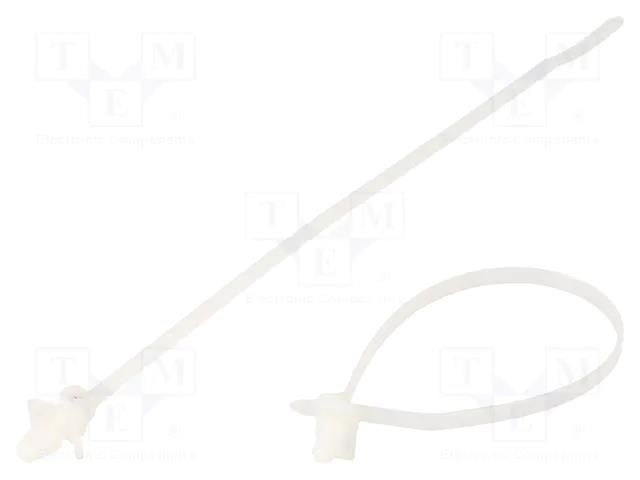 Cable tie; with fixing lugs; L: 168mm; W: 3.6mm; natural; polyamide PANDUIT BW1.5I-D