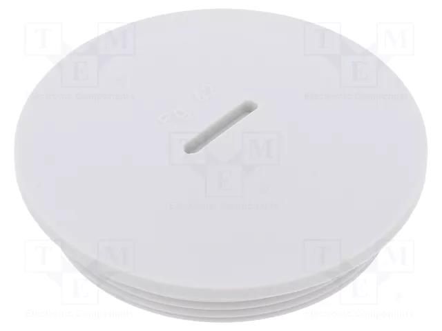 Stopper; PG42; IP54; polyamide; grey; V-N-FS; Thread: PG; 10mm HUMMEL HUMMEL-1251420011
