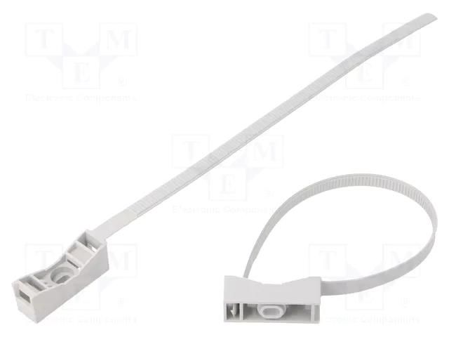 Cable strap clip; polyamide; Application: for braids; light grey BM GROUP BMTPZFF40/63