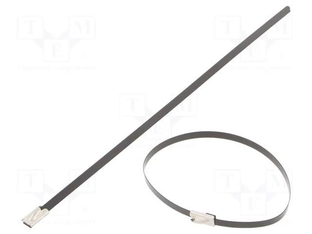 Cable tie; L: 200mm; W: 4.6mm; stainless steel AISI 304; 450N BM GROUP BMSC2045