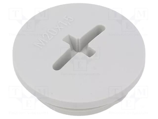 Stopper; M20; 1.5; IP56; polyamide; light grey; Thread: metric; 6mm BM GROUP BM4620
