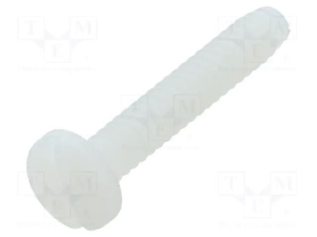 Screw; UNC6-32x19.05; Head: cheese head; slotted; polyamide KEYSTONE KEYS9338