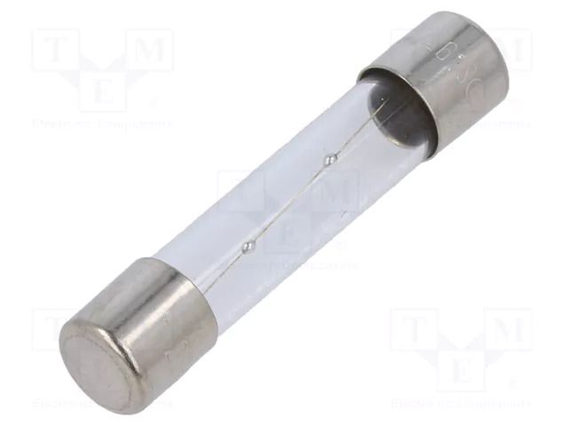 Fuse: fuse; 1A; 250VAC; time-lag; glass; 6.3x32mm; TSA; brass OPTIFUSE TSA-1A