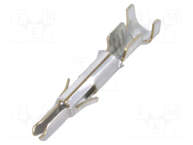 Contact; male; Universal MATE-N-LOK; brass; tinned; 0.5÷2mm2 TE Connectivity 350687-1/C