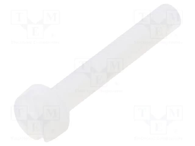 Screw; M3x20; 0.5; Head: cheese head; slotted; 0.9mm; polyamide DREMEC DR8G201M3X20