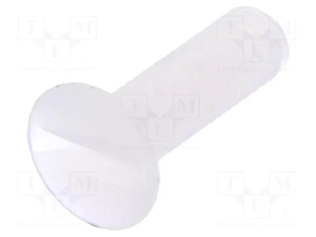 Screw; M3x10; 0.5; Head: oval,countersunk; slotted; 1mm; polyamide DREMEC DR8G203M3X10