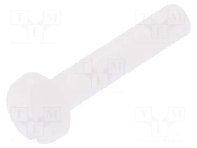 Screw; M3x16; 0.5; Head: cheese head; slotted; 0.9mm; polyamide DREMEC DR8G204M3X16