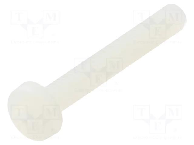 Screw; M3x20; 0.5; Head: cheese head; Pozidriv; 0.8mm; polyamide DREMEC DR8G205M3X20