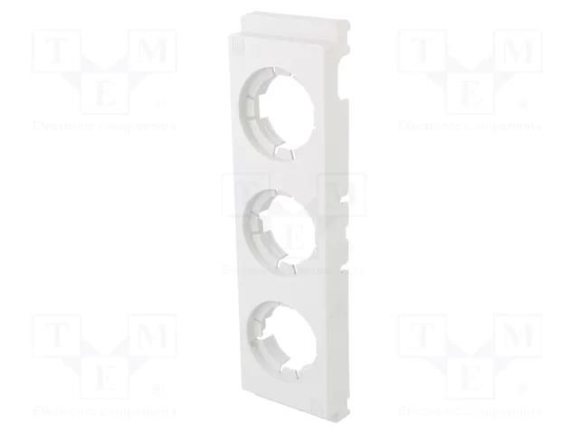 Cover; DIII; 10pcs. RITTAL RITTAL-3433020
