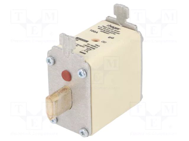 Fuse: fuse; 100A; 690VAC; gG; industrial; NH00 HAGER LNH00100M6