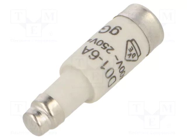 Fuse: fuse; 6A; 400VAC; 250VDC; gG,time-lag; D01 HAGER LE1406