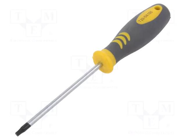 Screwdriver; Torx®; TX20; 100mm PG TOOLS PG-T016