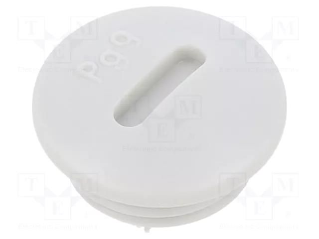 Stopper; PG9; IP56; polyamide; light grey; Thread: PG; 6mm; -25÷60°C BM GROUP BM4597