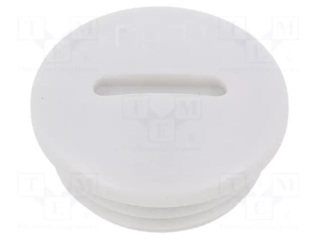 Stopper; PG11; IP56; polyamide; light grey; Thread: PG; 6mm BM GROUP BM4598