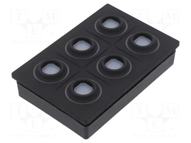 Keypad: plastic; LED; Rcont max: 10000mΩ; 6.5N; -40÷85°C; 09 EAO 09-0075.3142