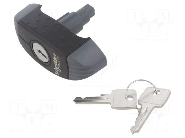 Insert for lock; for enclosures; Spacial S3D SCHNEIDER ELECTRIC NSYAEDL1242S3D