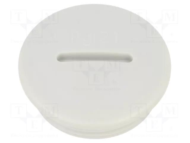 Stopper; PG21; IP56; polyamide; light grey; Thread: PG; 8mm BM GROUP BM4601
