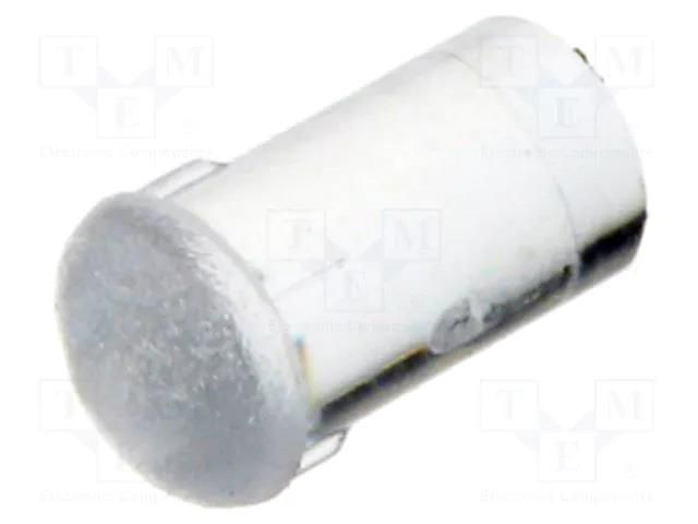 Fiber for LED; Ø3mm; L: 4.8mm; round; Front: convex; straight; PLP2 BIVAR PLP2-188