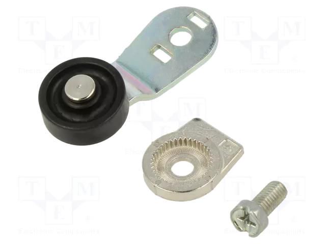 Driving head; lever R 40mm, plastic roller Ø20mm; FC/FD/FL/FP PIZZATO ELETTRICA VF-L31