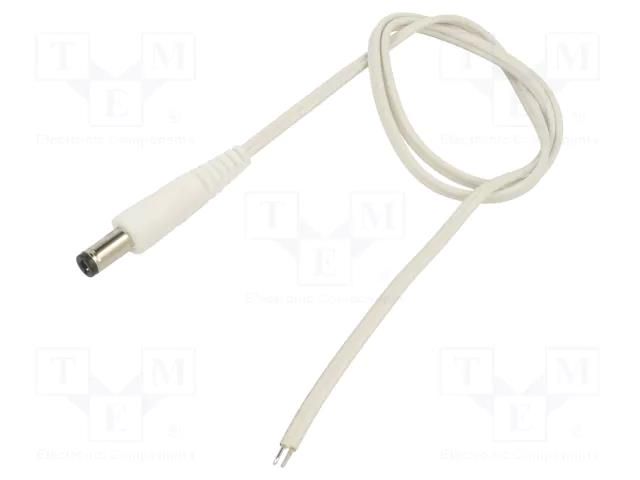 Cable; 2x0.35mm2; wires,DC 5,5/2,5 plug; straight; white; 0.5m WEST POL P25-TT-T035-050WH