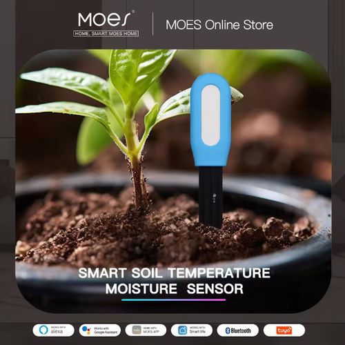 Išmanus augalų dirvožemio drėgmės ir temperatūros matuoklis, TUYA, Bluetooth BSS-YC-STH-A-EN 6974246479538
