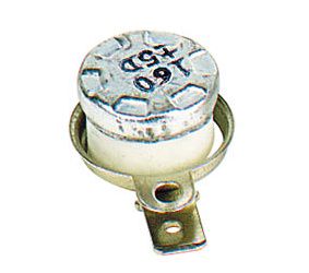 Termo apsauga BT F-120 (120°C/100°C) NO BT F-120 5410329273583