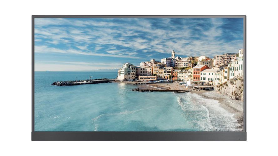 Hikvision SP 21.5" Monitor DS-D6022FN-B M21DSD6022FNB