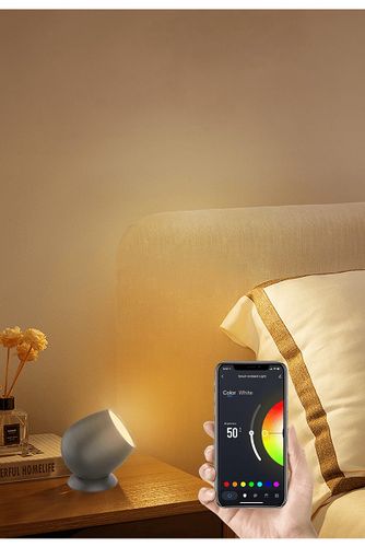 Foninis LED šviestuvas USB-C 5V, 2.2W 210lm 3000K - 6500K, RGB+CCT, IP20, išmanusis Wi-Fi, valdomas programėle, TUYA / Smart Life, WOOX R5145 8435606715010