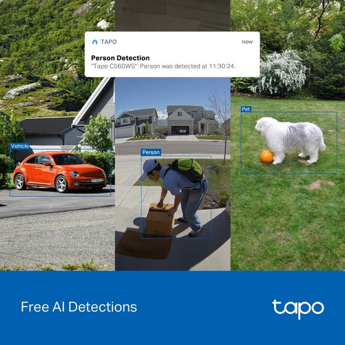 Wi-Fi lauko kamera PT, 4K 8MP, Starlight Color Night Vision, IP66, MicroSD iki 512GB TAPO-C560WS