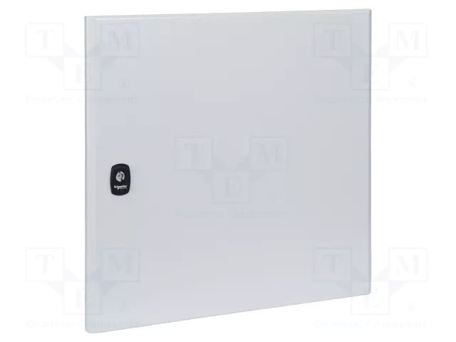 Door; steel; W: 400mm; L: 500mm; for enclosures; Spacial S3D SCHNEIDER ELECTRIC NSYDS3D54