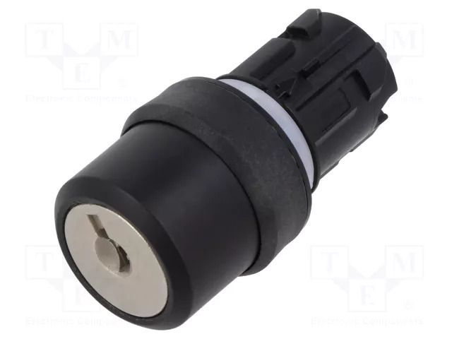 Switch: rotary with key; 22mm; Stabl.pos: 2; none; IP66,IP67,IP69K EAO 45-290H.1000.111