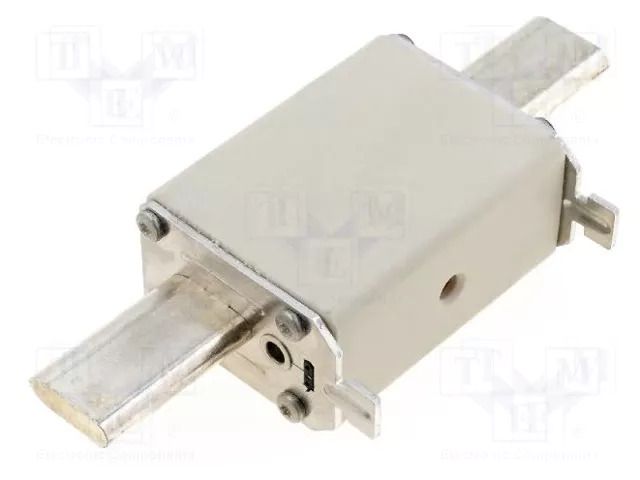 Fuse: fuse; 100A; 500VAC; 440VDC; gG; ceramic,industrial; NH2 SIBA NH2-100