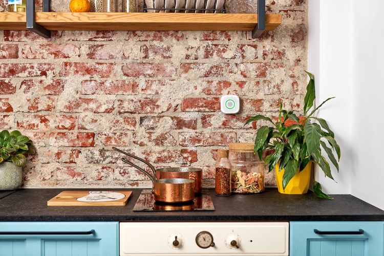 Dujų vožtuvo manipulators Shelly GAS Add-On Manipulator 3800235262443 3800235262443