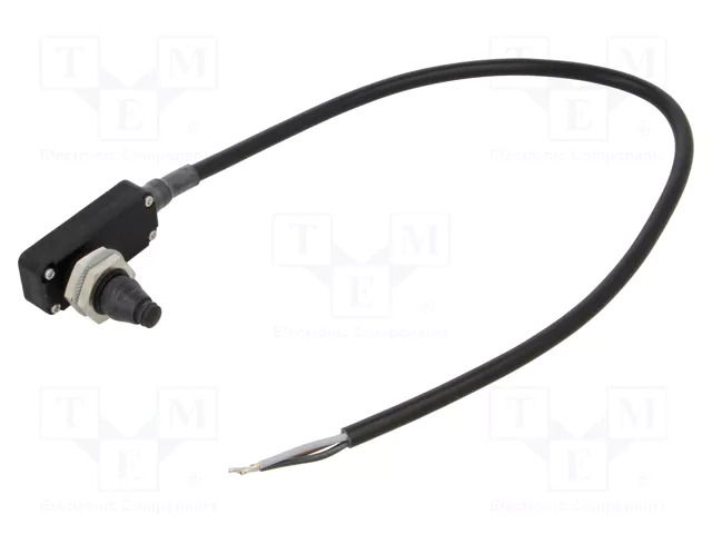 Limit switch SCHMERSAL 101055455