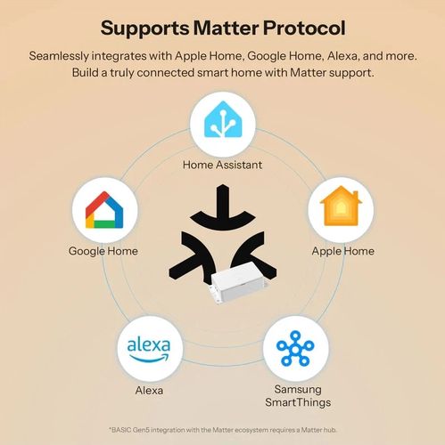 Viedais Wi-Fi releja BASIC GEN5, Matter over Wi-Fi, 1 kanāls, 230Vac, 10A SONOFF-BASIC-GEN5 6920075772777