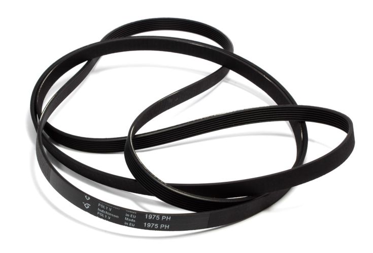 Siksna 1975PH7 W3-03272 4772081008485; 8014025009513