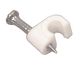 Kaabliklamber Ø 10mm CLIP10 5410329339401